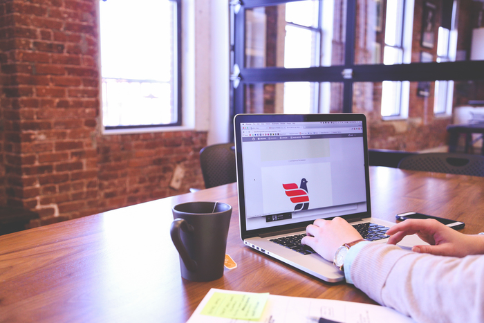 Man sitting in front of the laptop and looking at designed bird