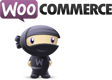 WooCommerce